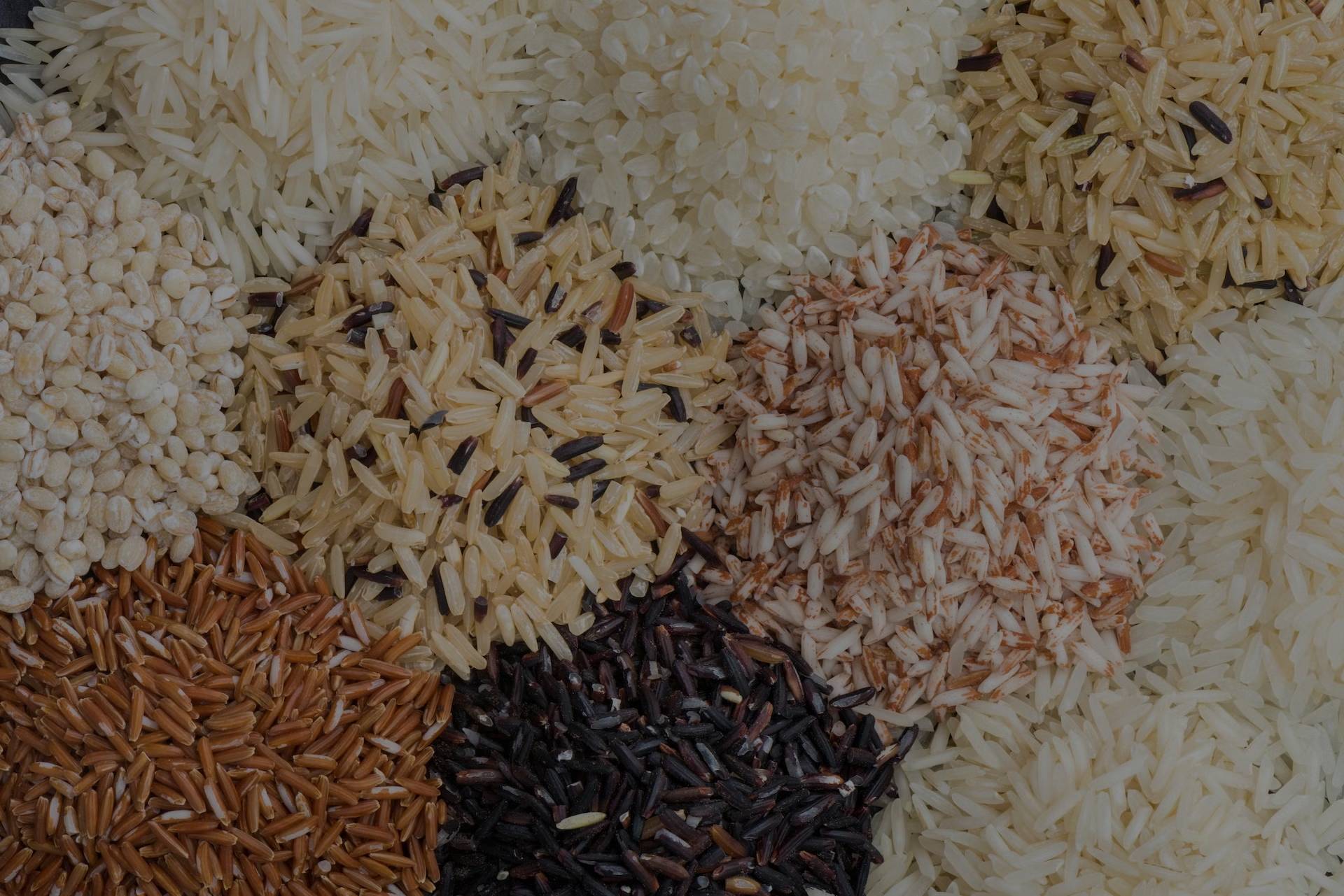 Premium Quality Rice
